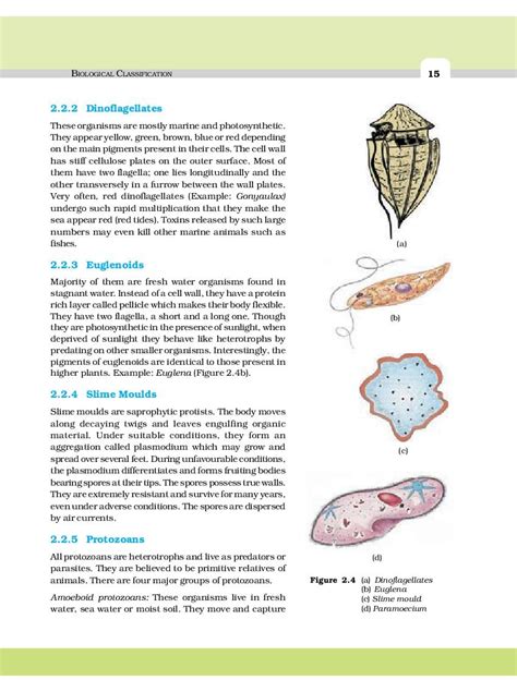 Expert Ways To Master Biology Classification Today Web Printer Driver