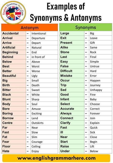 100 Examples Of Synonyms And Antonyms Vocabulary English Grammar Here Synonyms And Antonyms