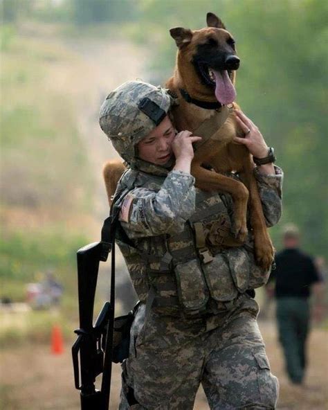 24 Heroic Military Dogs Gallery Ebaum S World