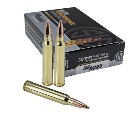 Best 300 Win Mag Ammo