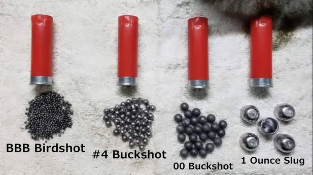 4 Gauge Shotgun Shell Facts