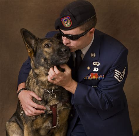 9 Hero Dog Stories To Celebrate Armed Forces Day