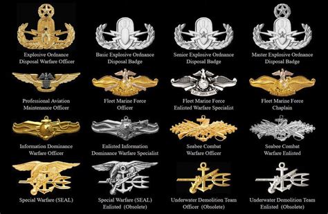 Badges Of The United States Navy United States Navy Navy Insignia Navy Special Forces