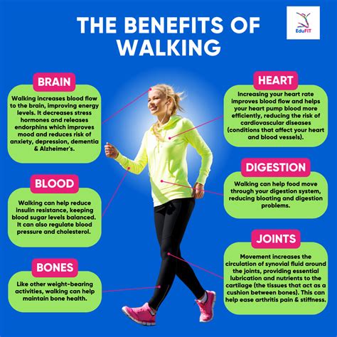 Benefits Of Walking Daily Walking For Health Walking Exercise Daily Exercise Health Facts