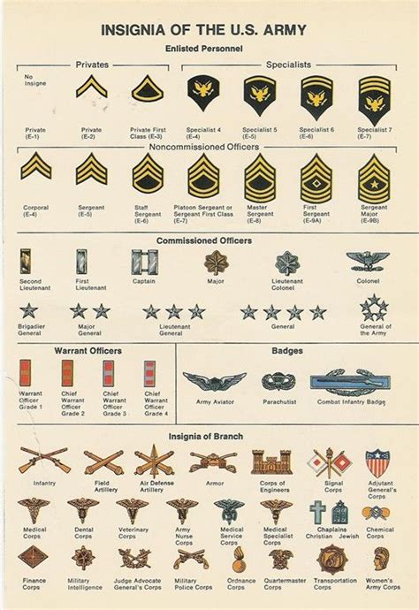 Best 25 Army Ranks Ideas On Pinterest Military Ranks Navy Ranks And Military Salute