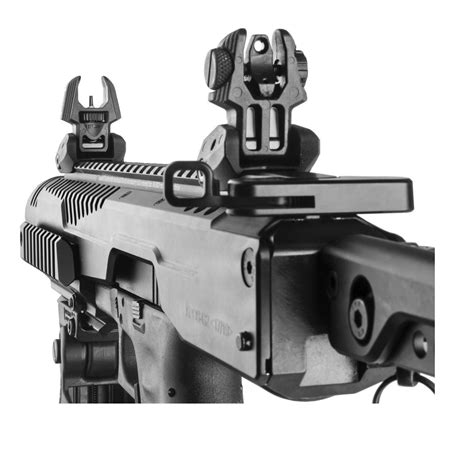 Best Backup Iron Sights