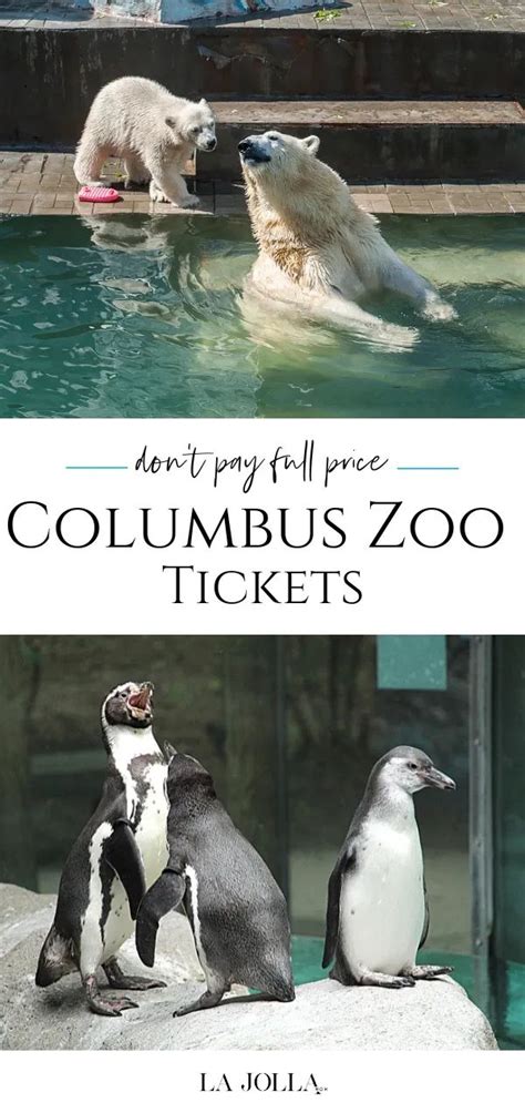 5 Ways Columbia Zoo Tickets