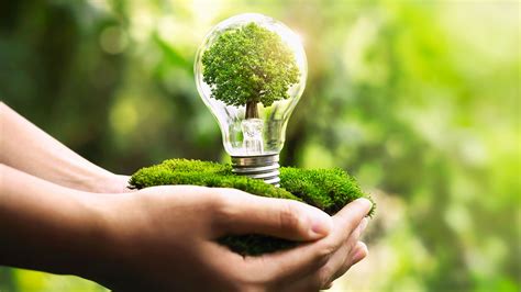 Earth Day Eco Tips For Saving Energy Living A Greener Life