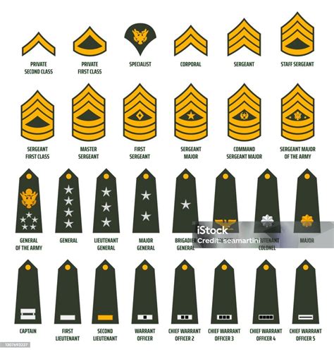 Enlisted Army Ranks Army Enlisted Rank Insignia Stock Vector Illustration Of Time In