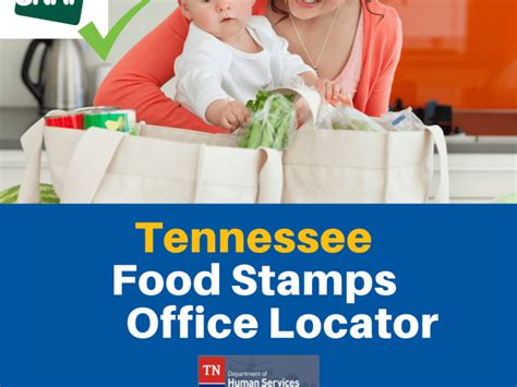 Get Your Food Stamps In Buncombe County Everything You Need To Know