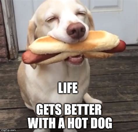 Hot Dog Meme Fun