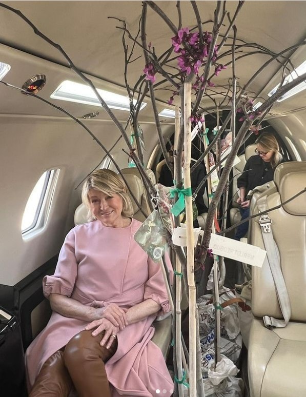 How Does Martha Stewart Fly In A Private Jet Surrounded By Oklahoma State Trees Autoevolution