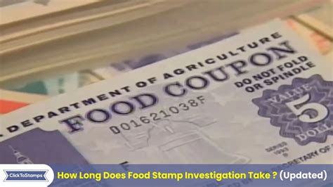 5 Tips Food Stamp Investigation