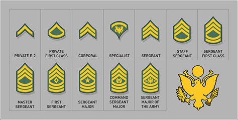 How Times Have Changed Army Rank Insignia Through The Years