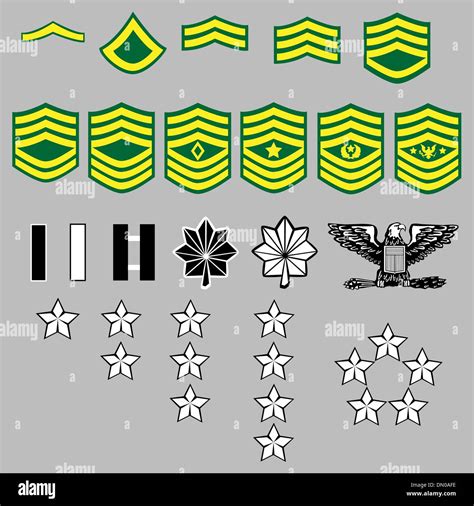 7 US Army Ranks