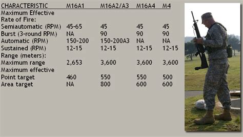 5 M16 Range Tips