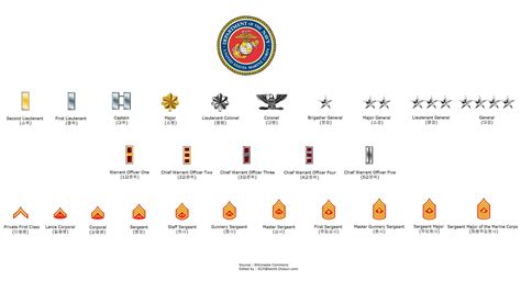 Military Ranks Ascending From Captain A Comprehensive Guide