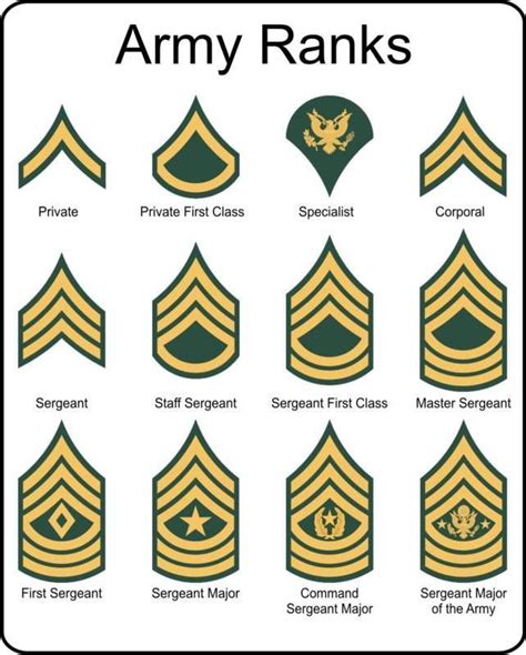 Military U S Army Rank Insignia Metal Sign Collectibles Transportation Other Transport