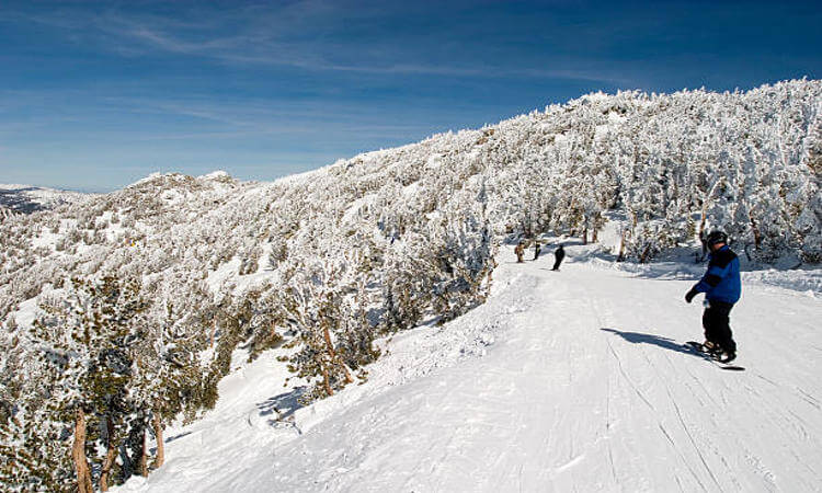 Okemo Mountain Resort Ski Guide The New York Times