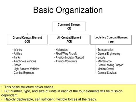 Ppt Basic Organization Powerpoint Presentation Id 4359619