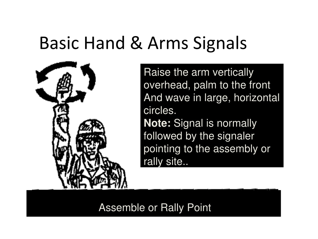 Ppt Hand And Arm Signals Powerpoint Presentation Id 984452