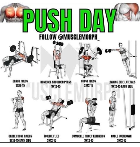 Push Day Exercise For Weight Gain In 2024 Push Workout Push Day Workout Best Gym Workout