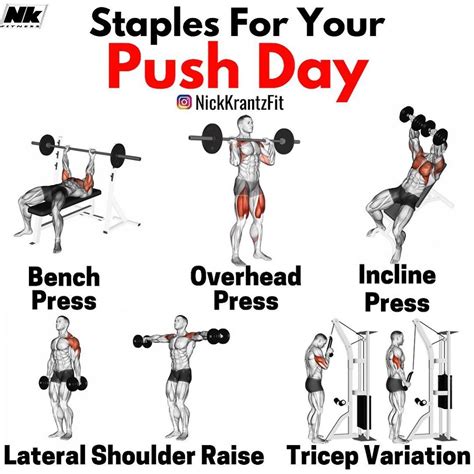 5 Push Exercises