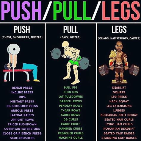 Push Pull Leg Workout Best Workout Routine Fun Workouts Weight Training Workouts