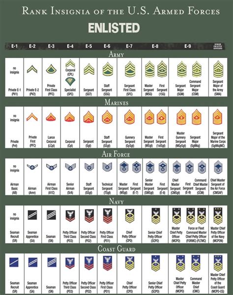 Ranks With Insignia For All Five Branches More Military Infographics On This Site Military