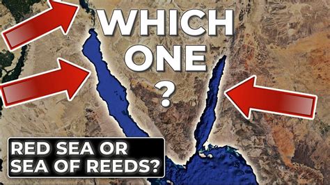 5 Facts: Reed Sea Vs Red Sea