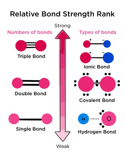 Relative Strengths Of Bonds Overview Comparison Expii