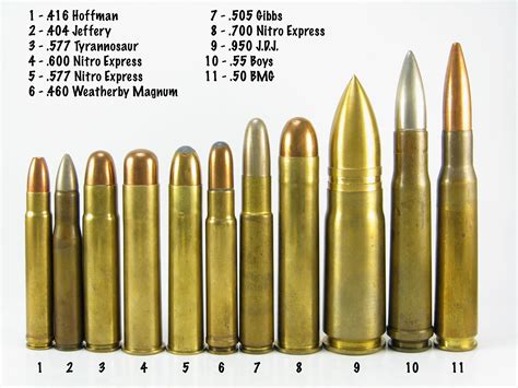 Rifle Cartridges