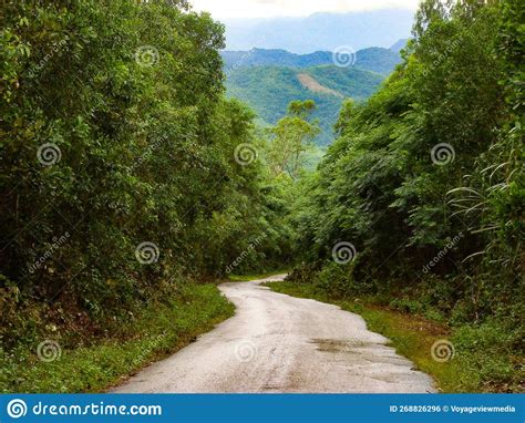 Road To Camp Carroll Military Base Vietnam Stock Photo Image Of South Artillery 268826296