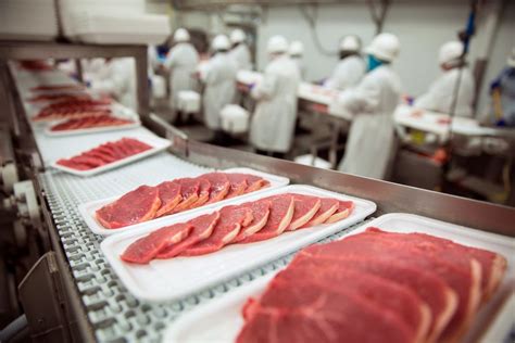 The Meat Inspection Process Meat Cutting And Processing For Food Service