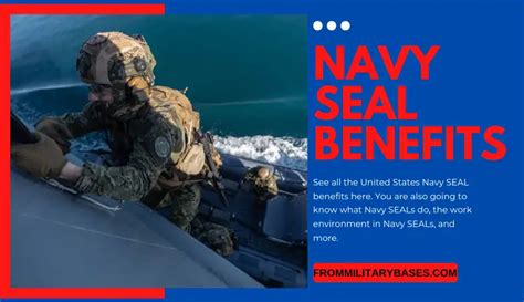 United States Navy Seals Facts For Kids